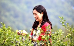 日本动漫爆乳H无码黄漫动